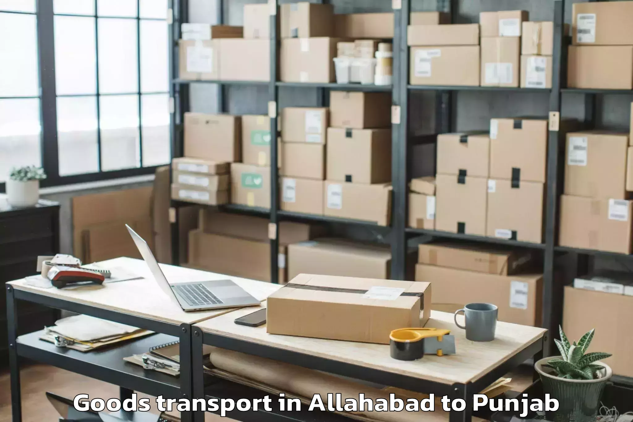 Professional Allahabad to Mall Of Amritsar Alpha One Goods Transport